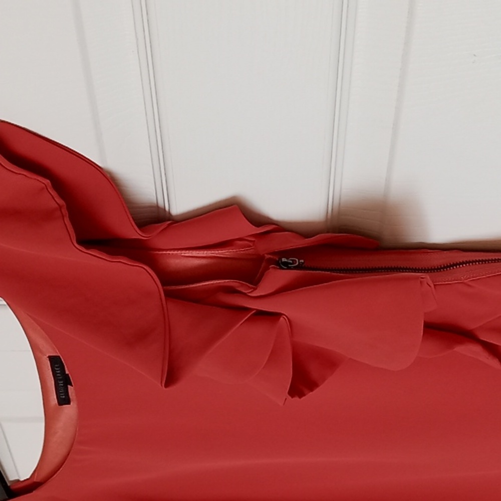 Blaque Label Ruffle Dress - Picture 11 of 16